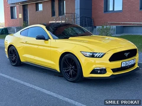 Ford Mustang — аренда в Калининграде